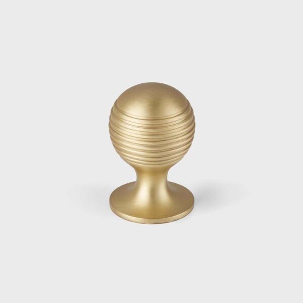 1" Merrick Cabinet Knob