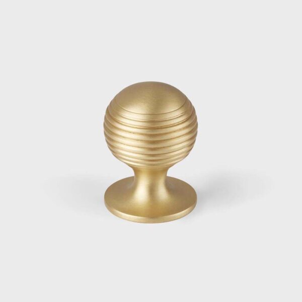 1-1/4" Merrick Cabinet Knob