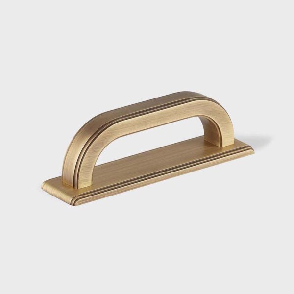 3-3/4" Dougan Cabinet Pull w/Backplate